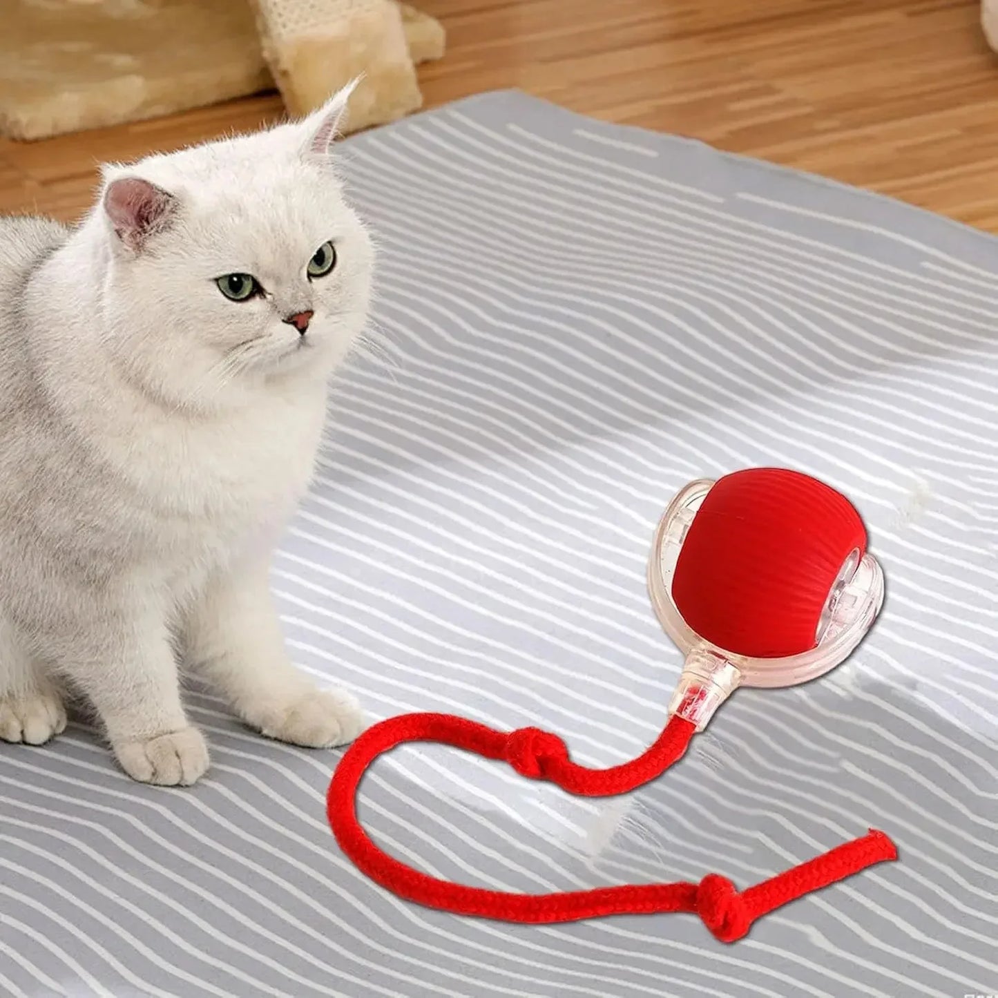 Smart Cat Toy with Mouse Tail – Automatic Rolling Ball for Training & Play