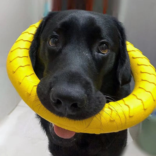 Indestructible Dog Ring Toy – Floating Flying Disc for Fetch, Training & Water Play