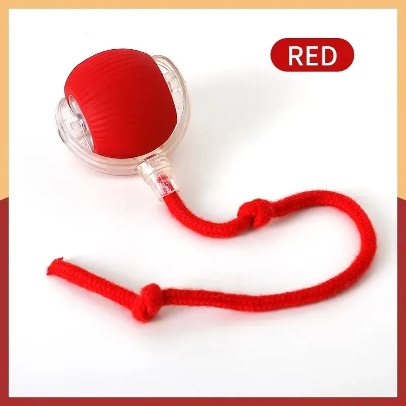 Smart Cat Toy with Mouse Tail – Automatic Rolling Ball for Training & Play