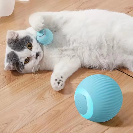 Automatic Moving Cat Toy Ball – Rechargeable Rolling Interactive Ball (Pink)