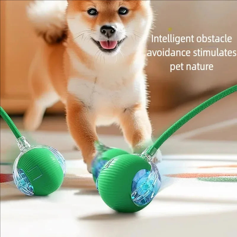 Smart Cat Toy with Mouse Tail – Automatic Rolling Ball for Training & Play