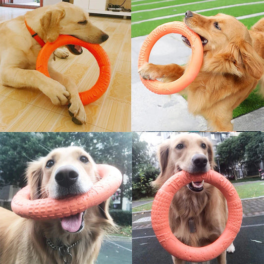 Indestructible Dog Ring Toy – Floating Flying Disc for Fetch, Training & Water Play