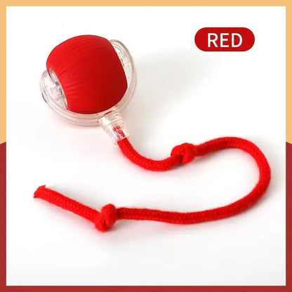 Smart Cat Toy with Mouse Tail – Automatic Rolling Ball for Training & Play
